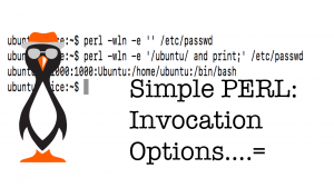 simple PERL invocation options