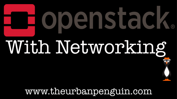 DevStack Install With Networking - The Urban Penguin