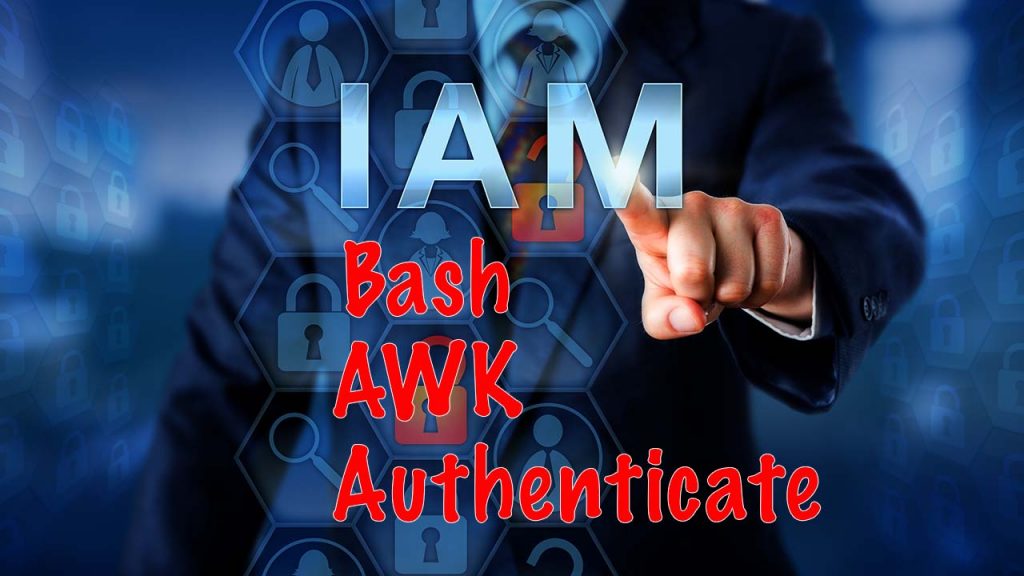 bash script using awk authenticate users